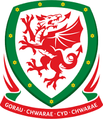 Football Association of Wales badge